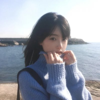 聪明的鸭子
