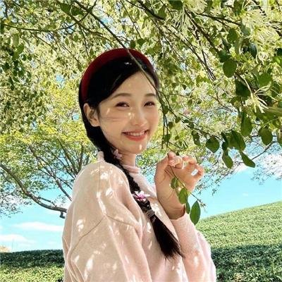 护照